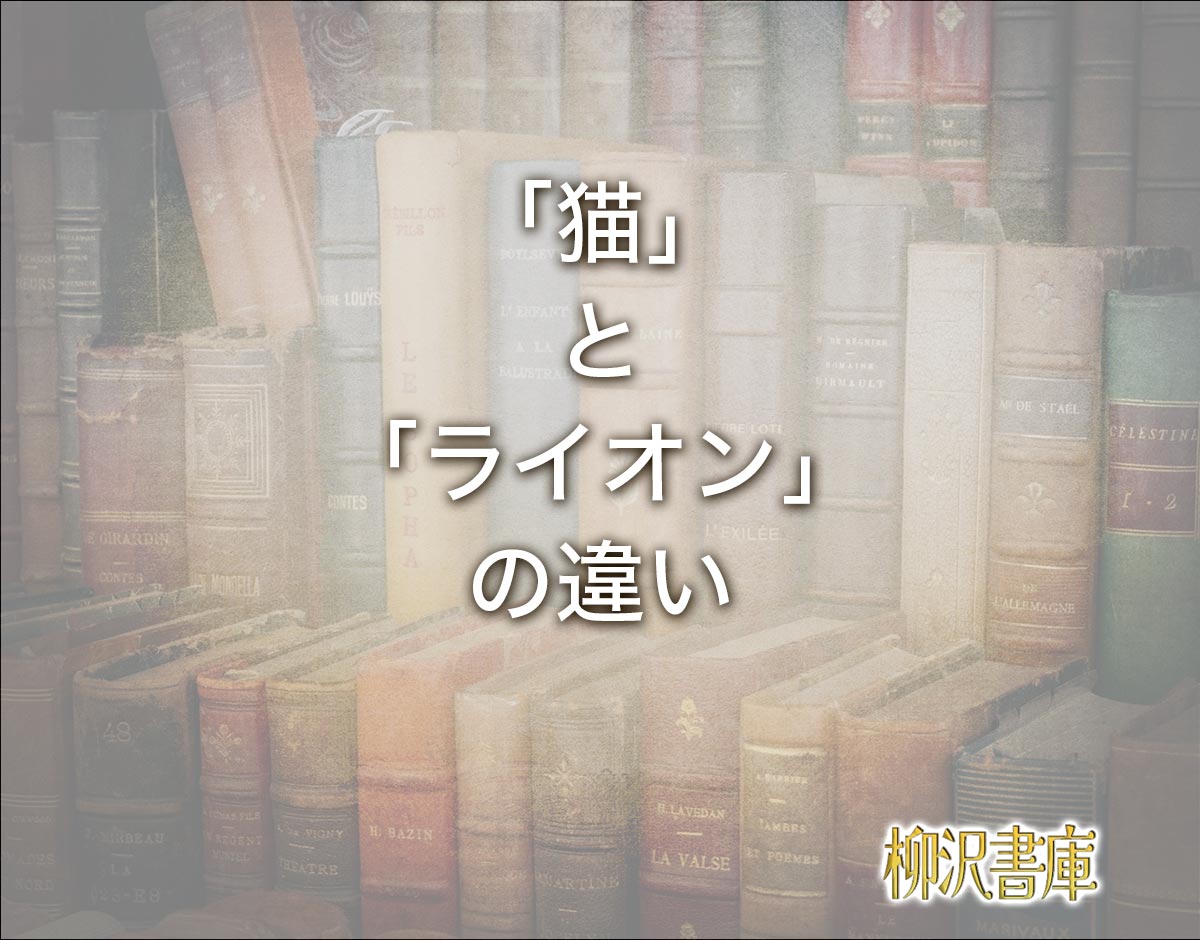 「猫」と「ライオン」の違いとは？