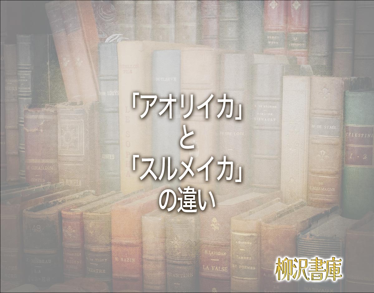 「アオリイカ」と「スルメイカ」の違いとは？