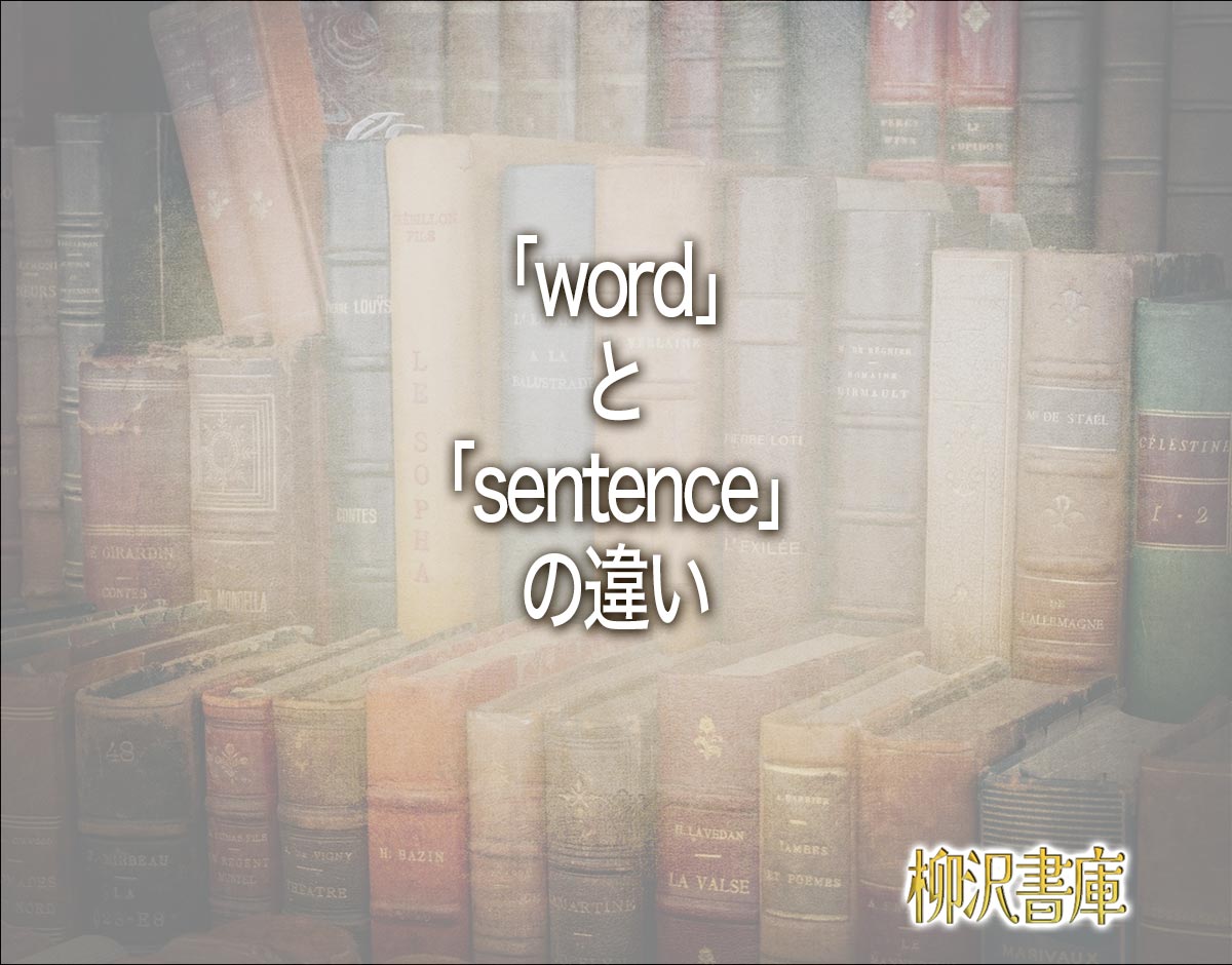 「word」と「sentence」の違いとは？