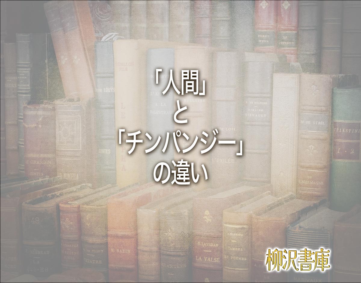 「人間」と「チンパンジー」の違いとは？